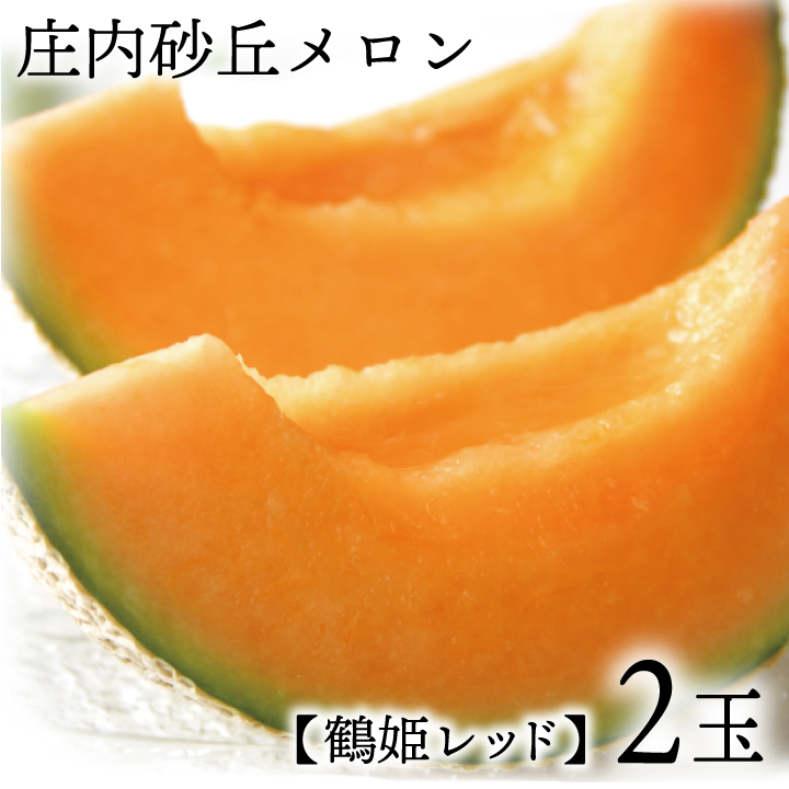 庄内砂丘メロン【赤肉】2玉