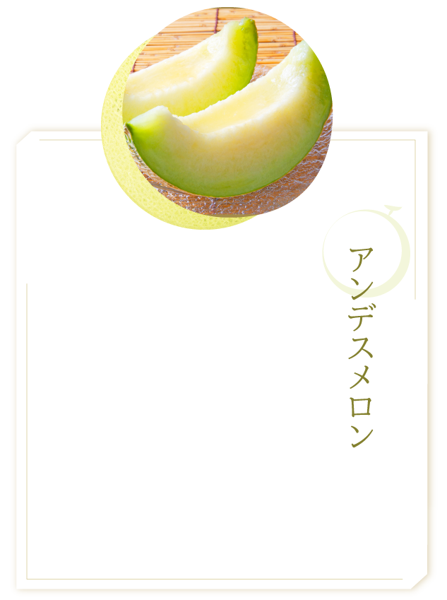 アンデスメロン