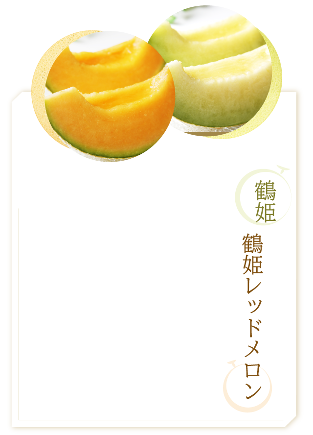 鶴姫　鶴姫レッドメロン