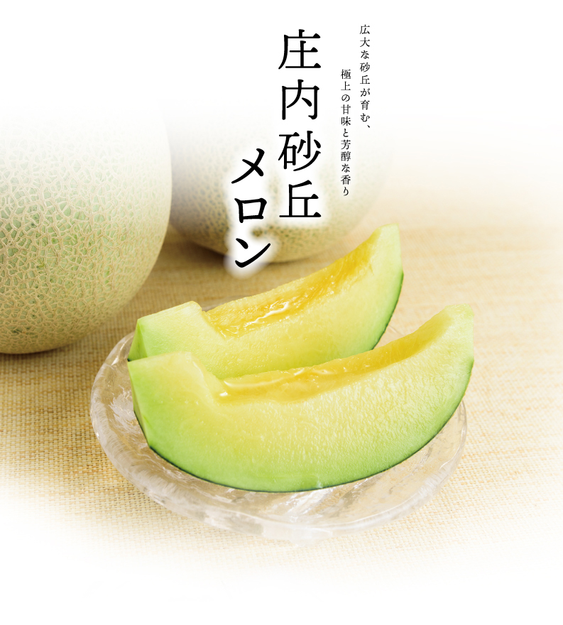 広大な砂丘が育む、極上の甘みと芳醇な香り　庄内砂丘メロン