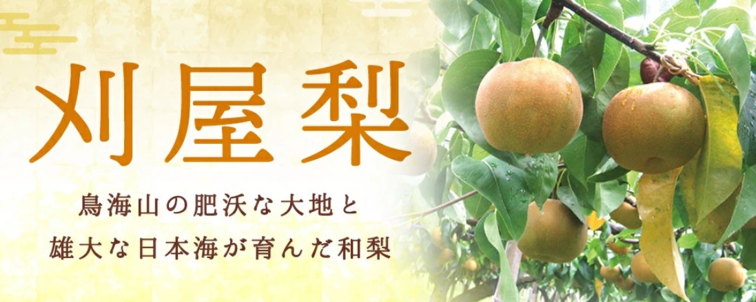 刈屋梨バナー