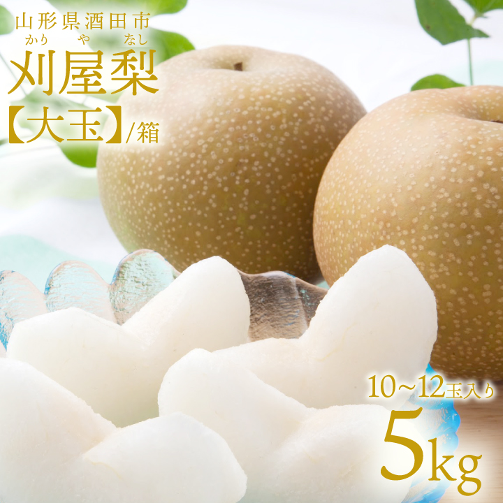 刈屋梨「大玉　9玉(5kg)箱入」