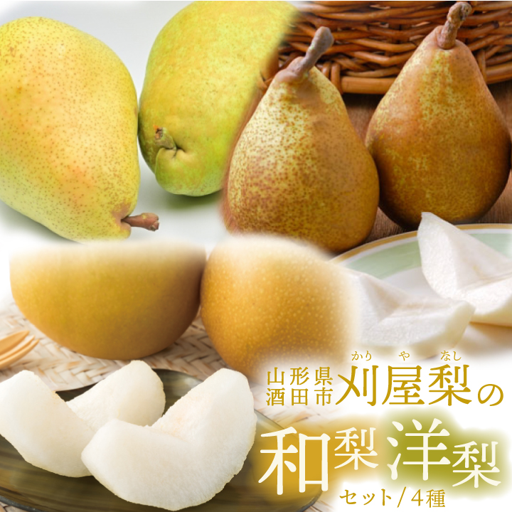 和洋セット