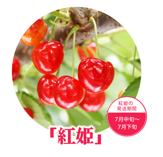 紅姫
