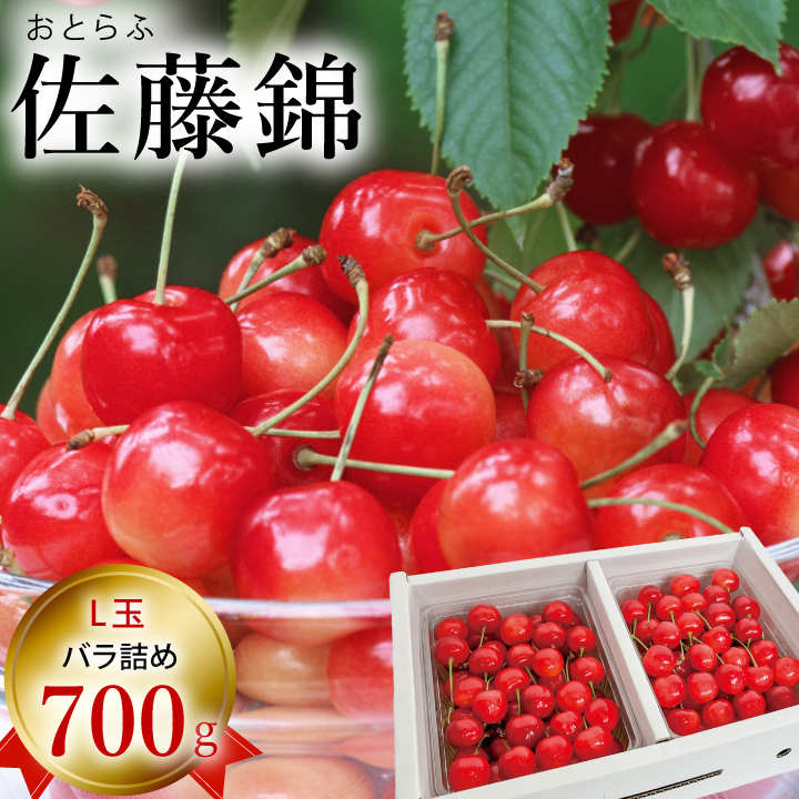 多田農園　佐藤錦　500g バラ詰め