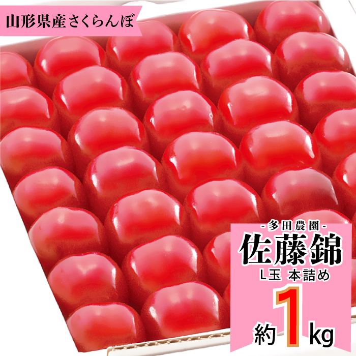 山辺産　佐藤錦　1kg 本詰め