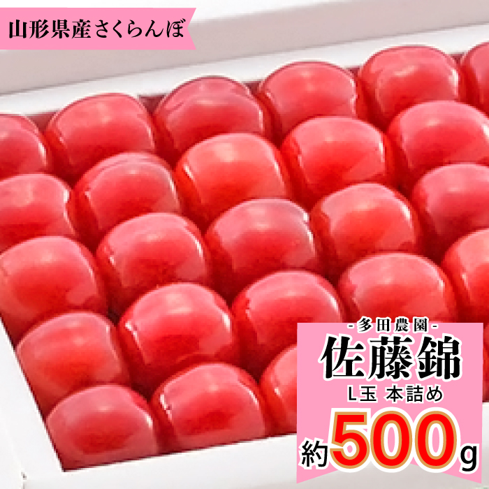 山辺産　佐藤錦　500g 本詰め