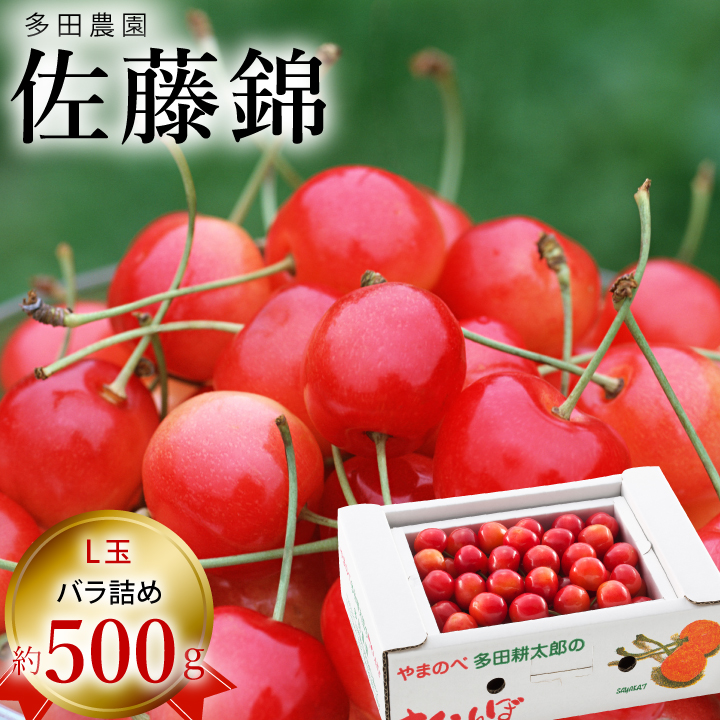 多田農園　佐藤錦　500g バラ詰め