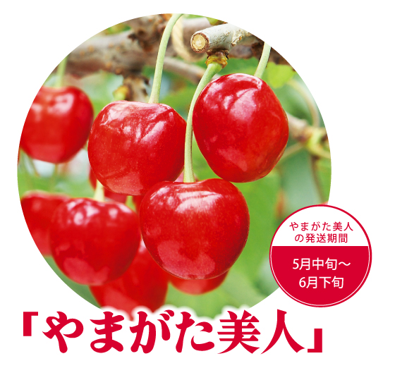 やまがた美人