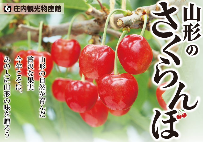 山形のさくらんぼ