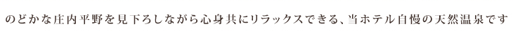 のどかな庄内平野を見下ろしながら心身共にリラックスできる、当ホテル自慢の天然温泉です